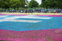 Spinning flowers for Big IF London sends Hyde Park into a spin Spinning flowers for Big IF London sends Hyde Park into a spin
